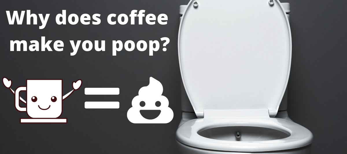 Why does coffee make you poop The Caffeinery