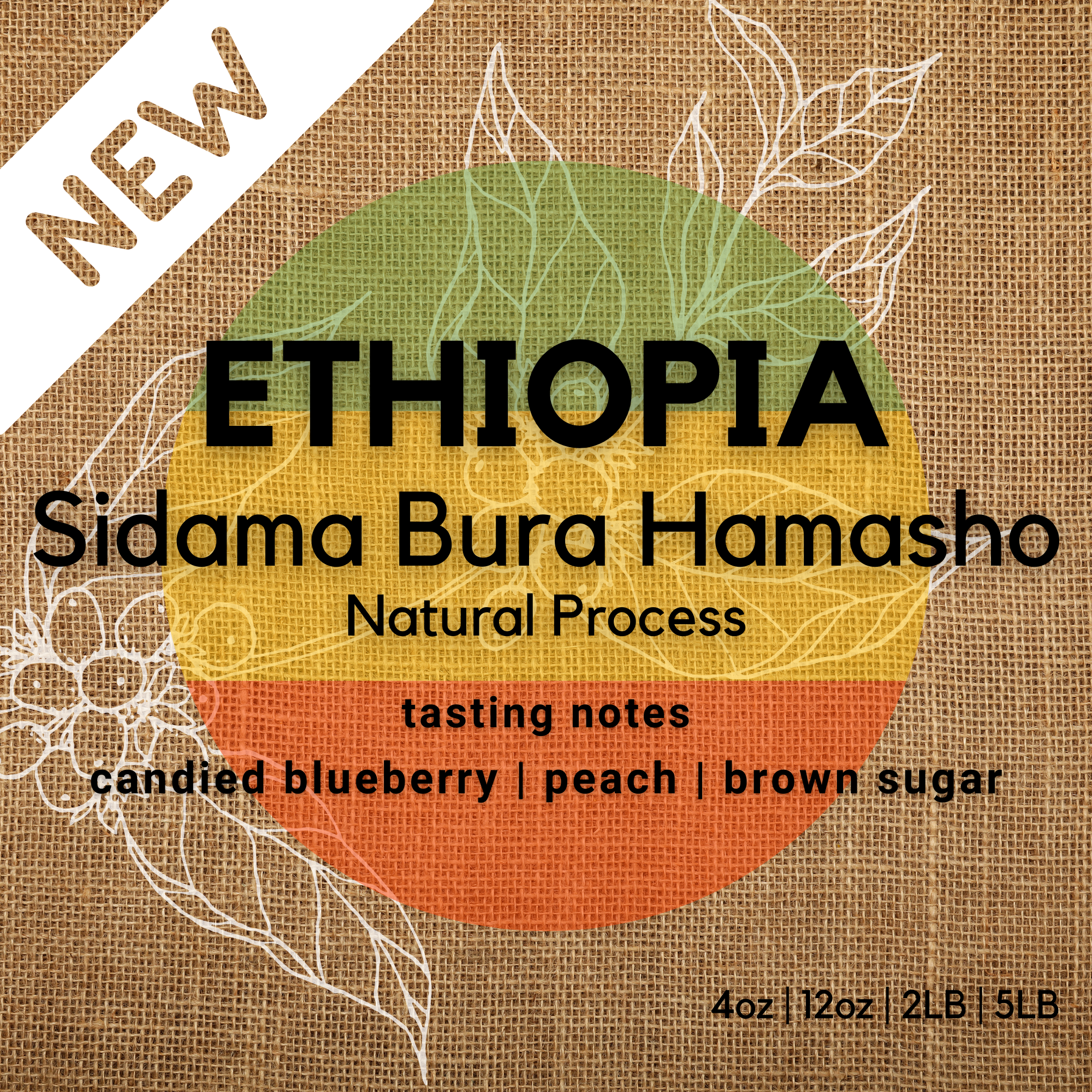Ethiopia Sidama Bura Hamasho