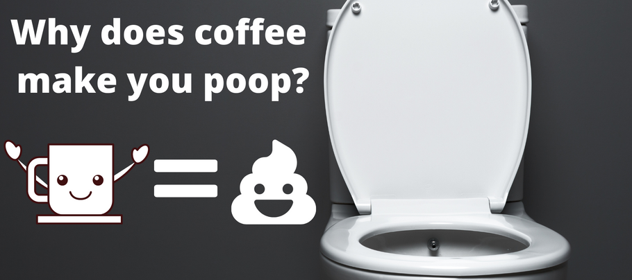 Why does coffee make you poop?