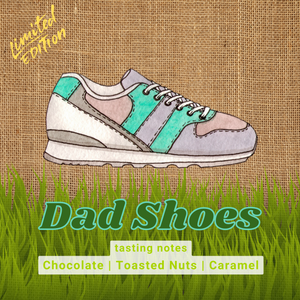 Dad Shoes