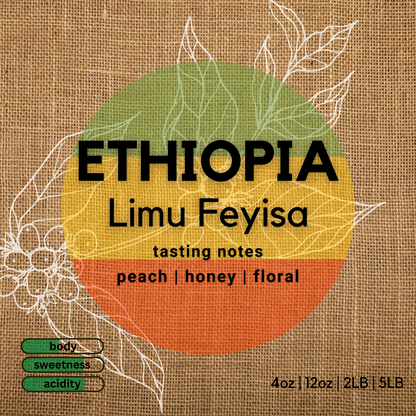 Ethiopia Limu Feyisa