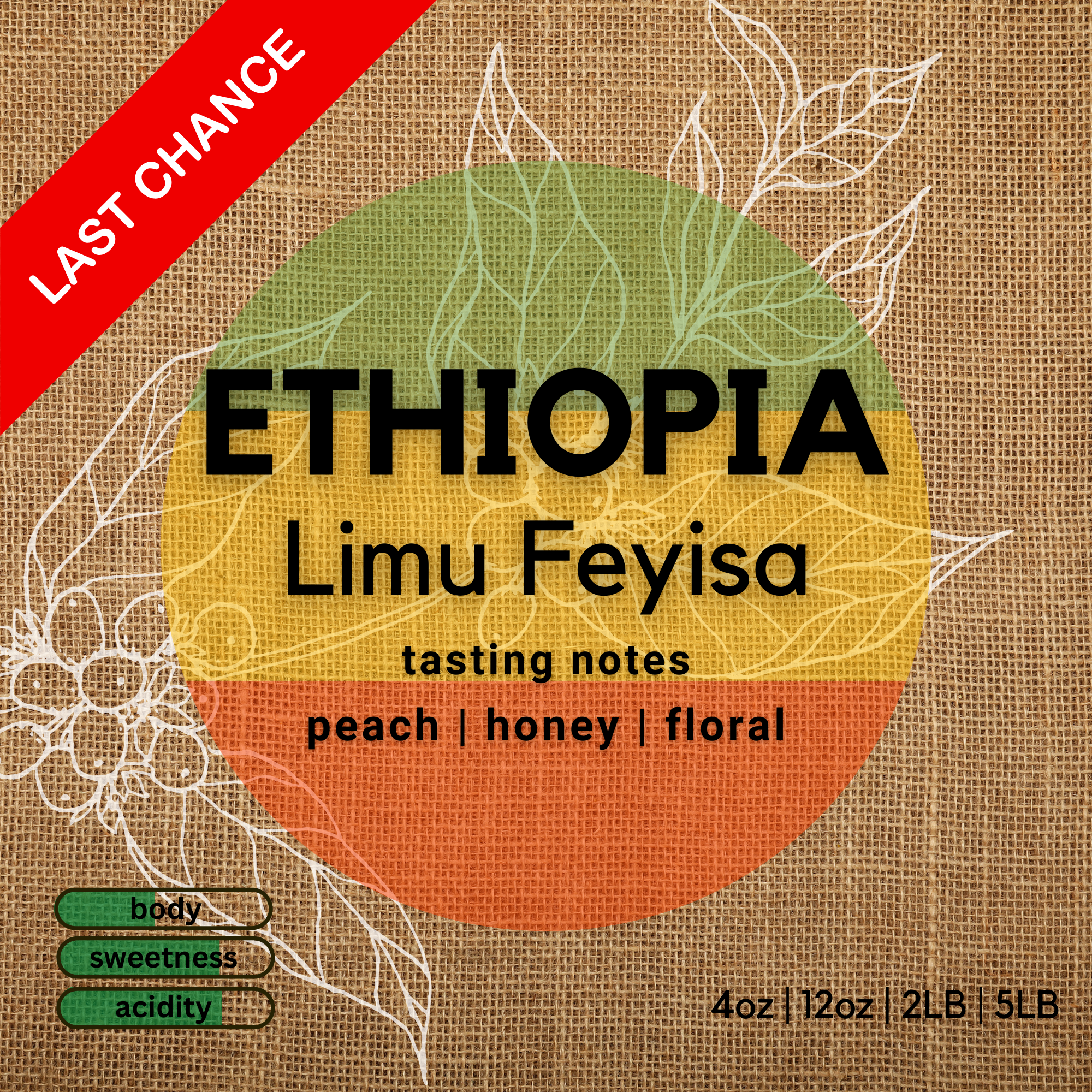 Ethiopia Limu Feyisa