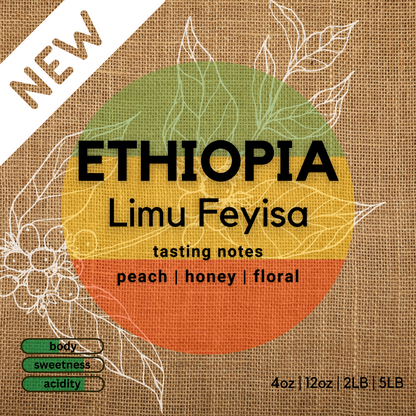 Ethiopia Limu Feyisa