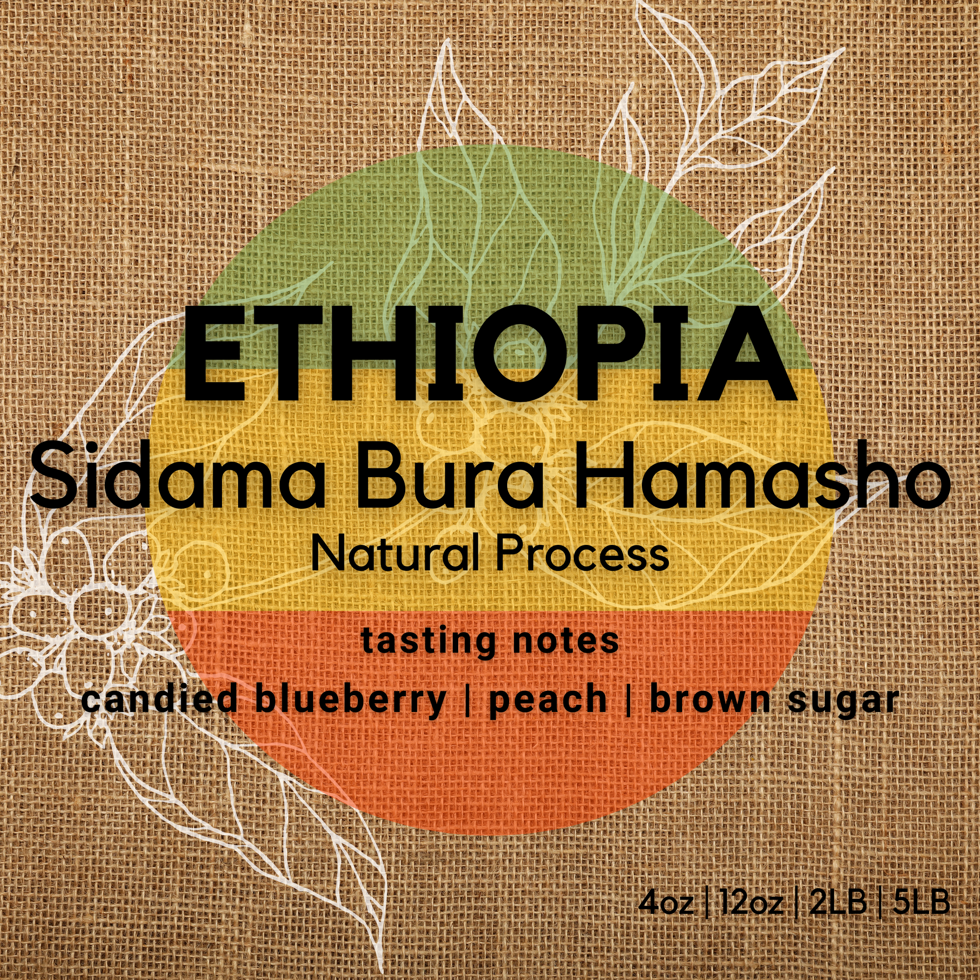 Ethiopia | Sidama Bura Hamasho