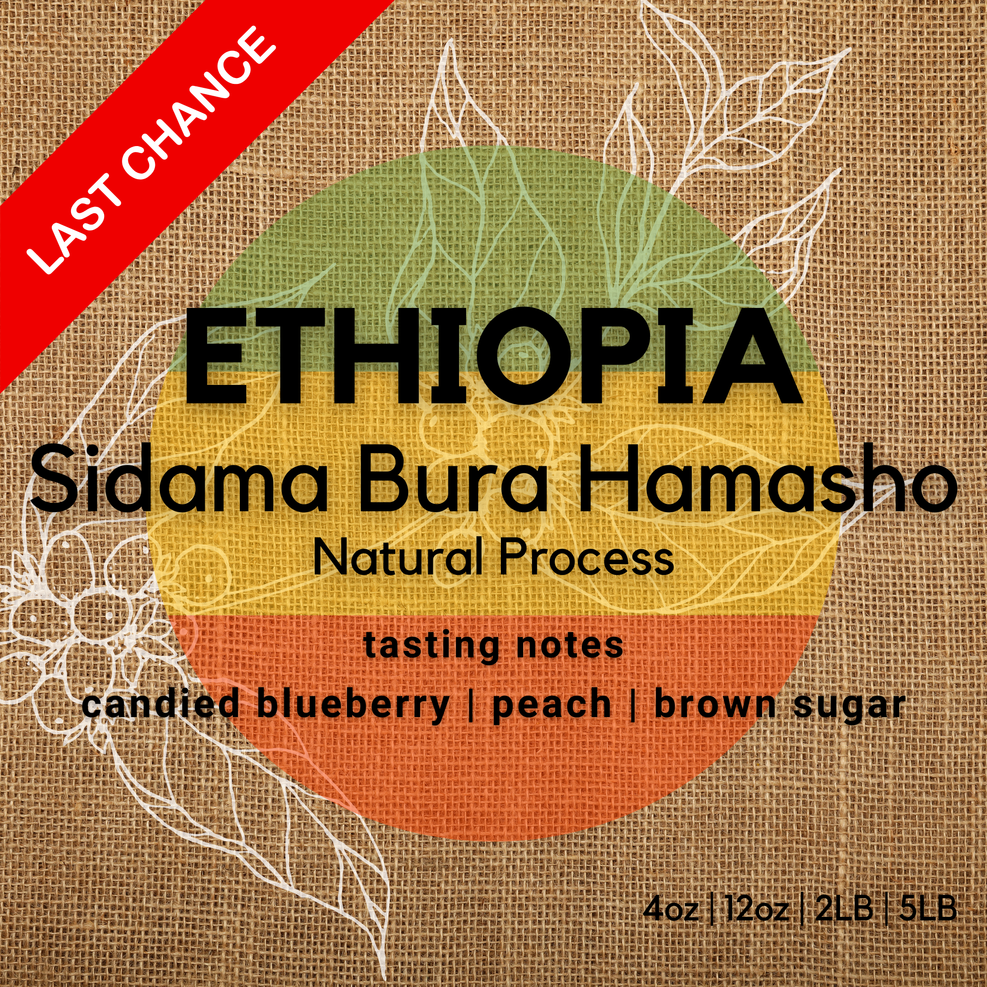 Ethiopia | Sidama Bura Hamasho