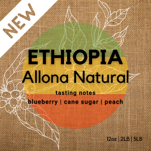 Ethiopia Guji Allona