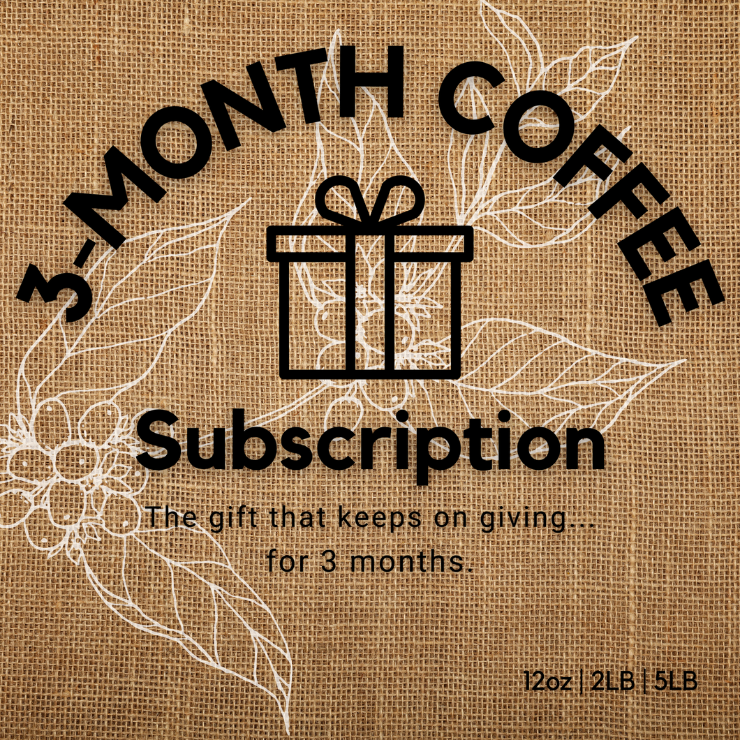 3-Month Gift Subscription